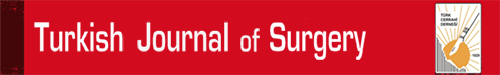 Turkish Journal of Surgery logo