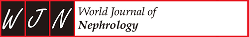 World Journal of Nephrology logo