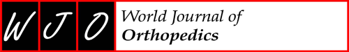 World Journal of Orthopedics logo