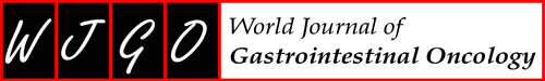 World Journal of Gastrointestinal Oncology logo