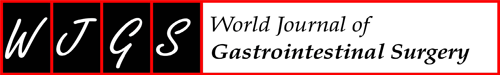 World Journal of Gastrointestinal Surgery logo