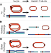 Figure 6.