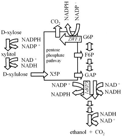 FIG. 1.