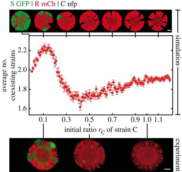 Figure 3.