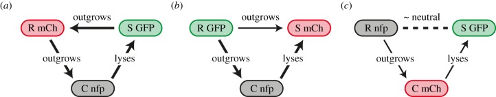 Figure 1.