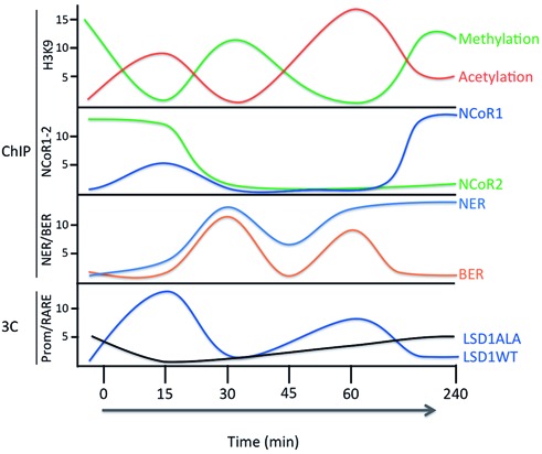 Figure 7.