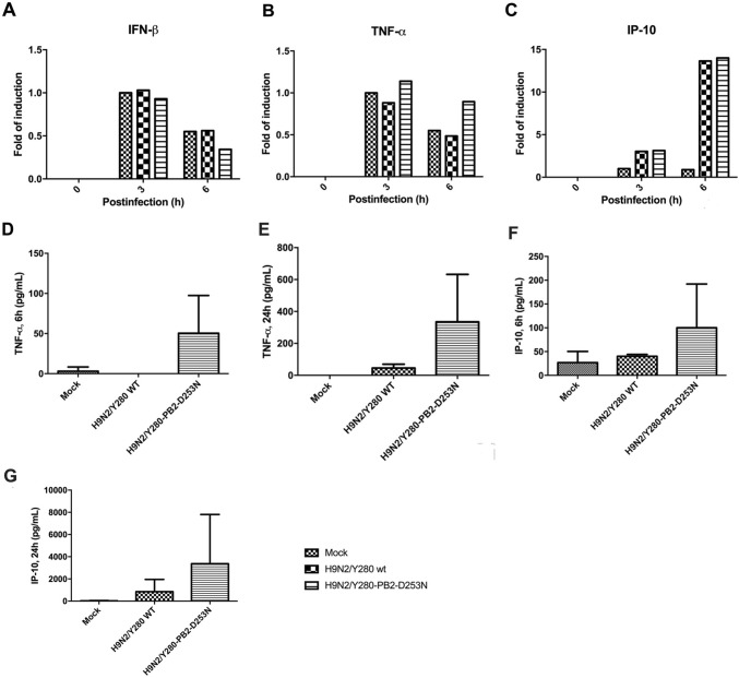 Fig. 2