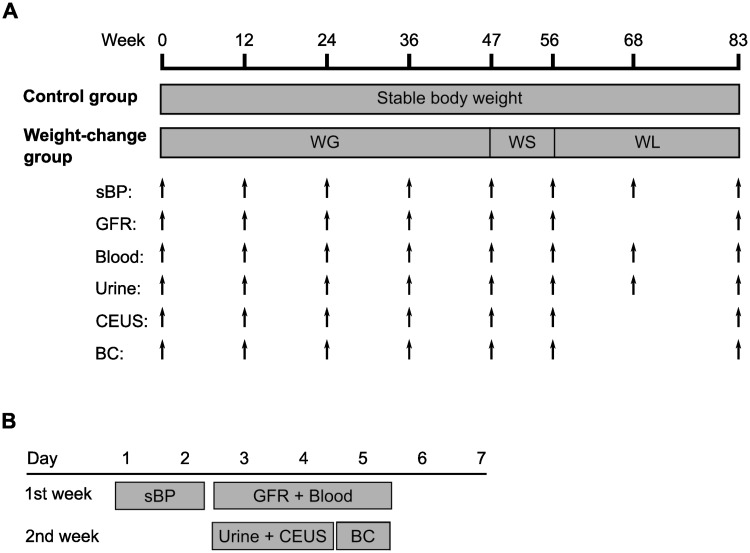 Fig 1