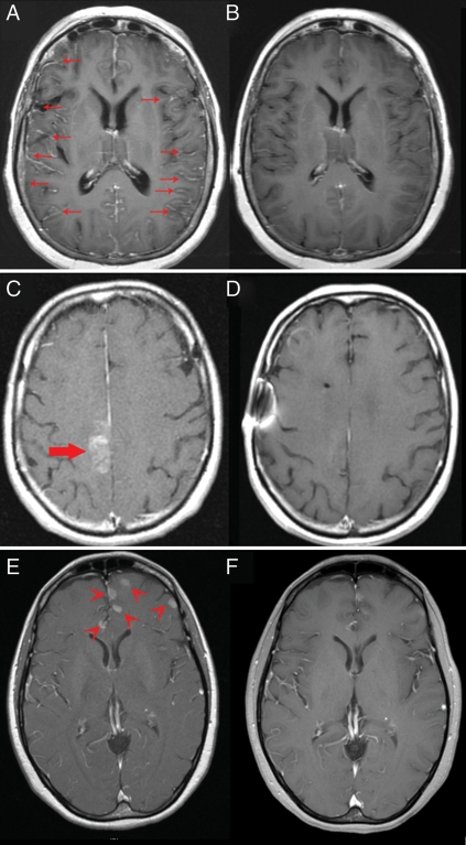 Fig. 1.