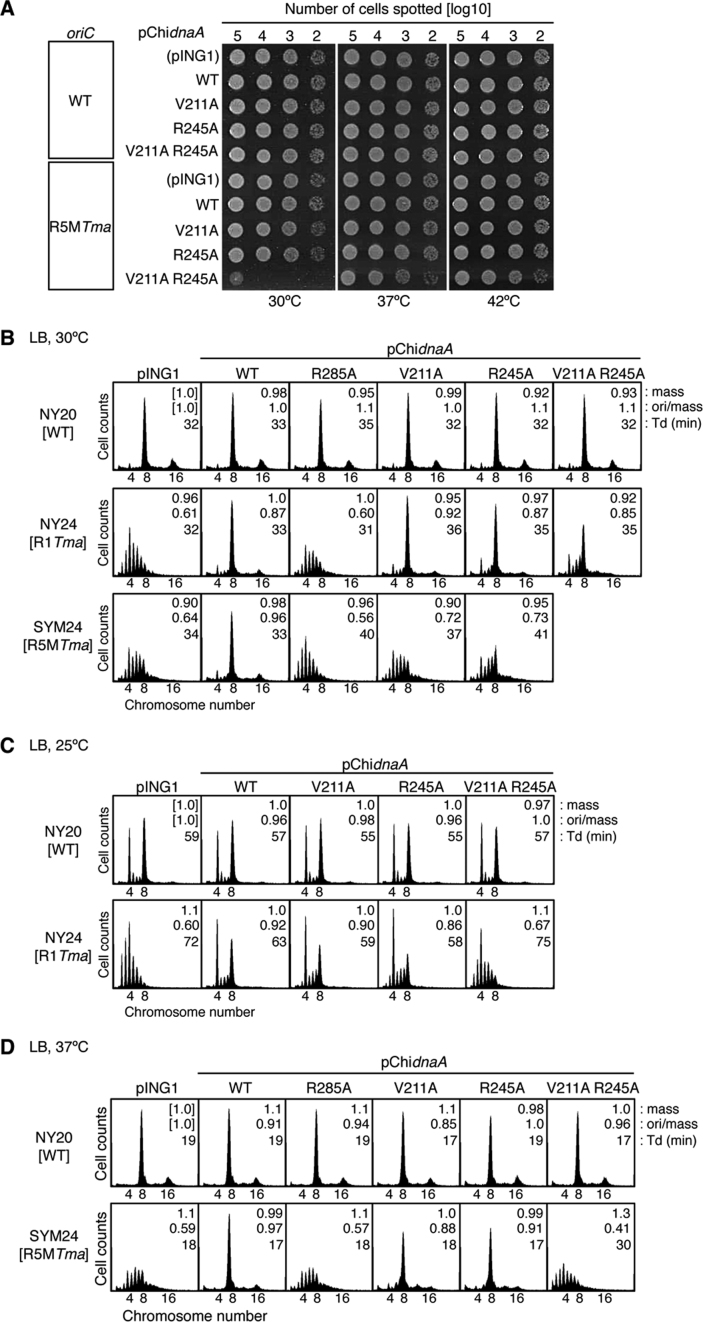 Figure 7.