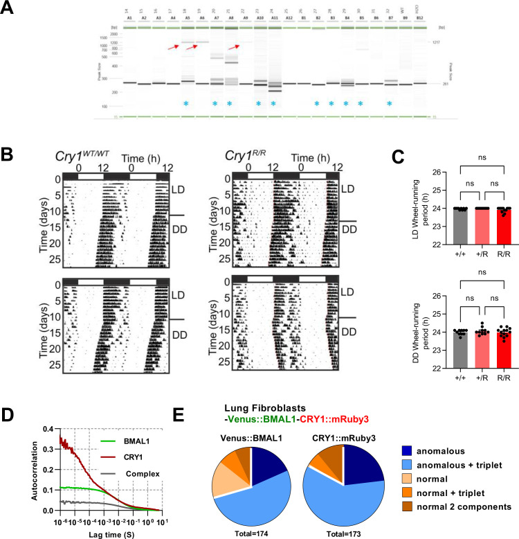 Figure 3—figure supplement 2.