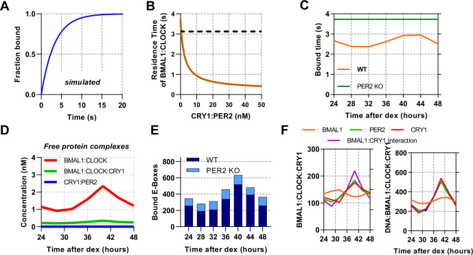 Figure 5—figure supplement 1.