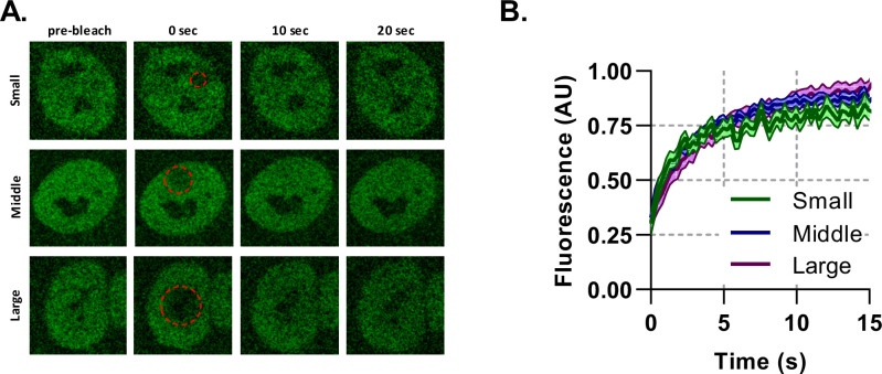 Figure 1—figure supplement 2.