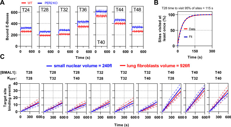 Figure 7—figure supplement 1.