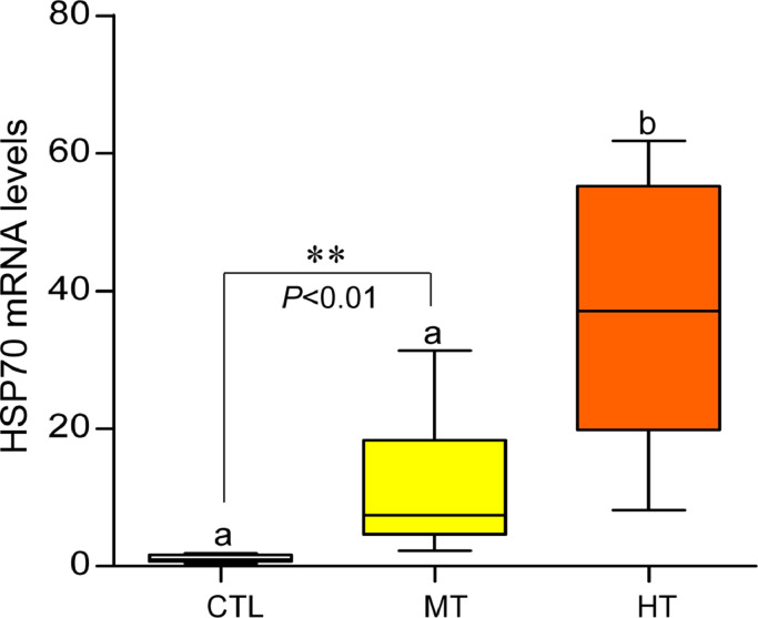 Fig 5