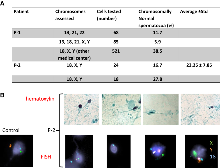 Figure 3