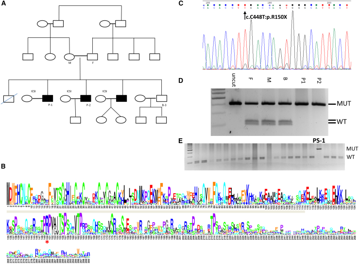 Figure 1