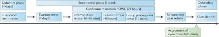 Box 3. Mock Prisoner Of War Camp (POWC) studies on eyewitness identification