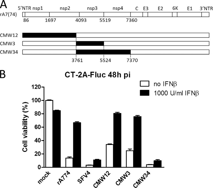 FIG 3