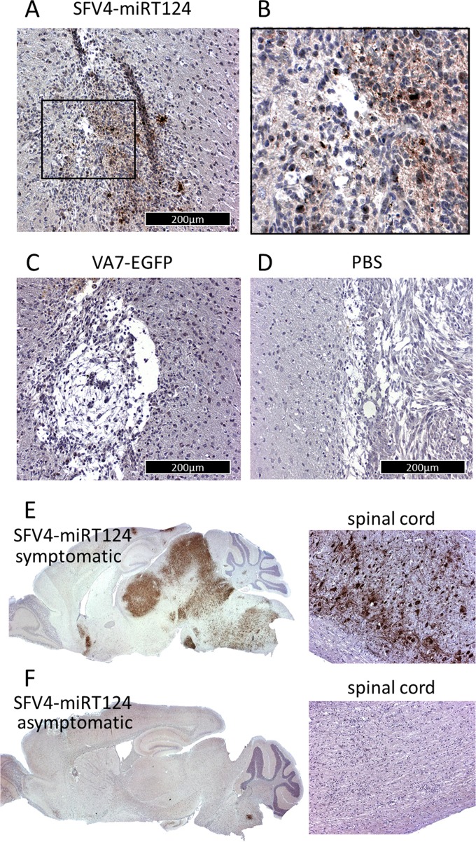 FIG 6