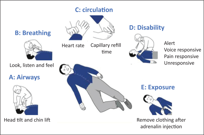 FIGURE 1