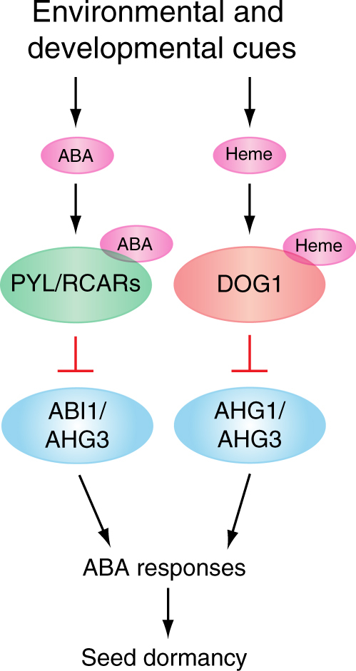 Fig. 9