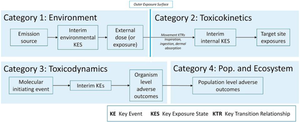 graphic file with name nihms-1539054-f0001.jpg