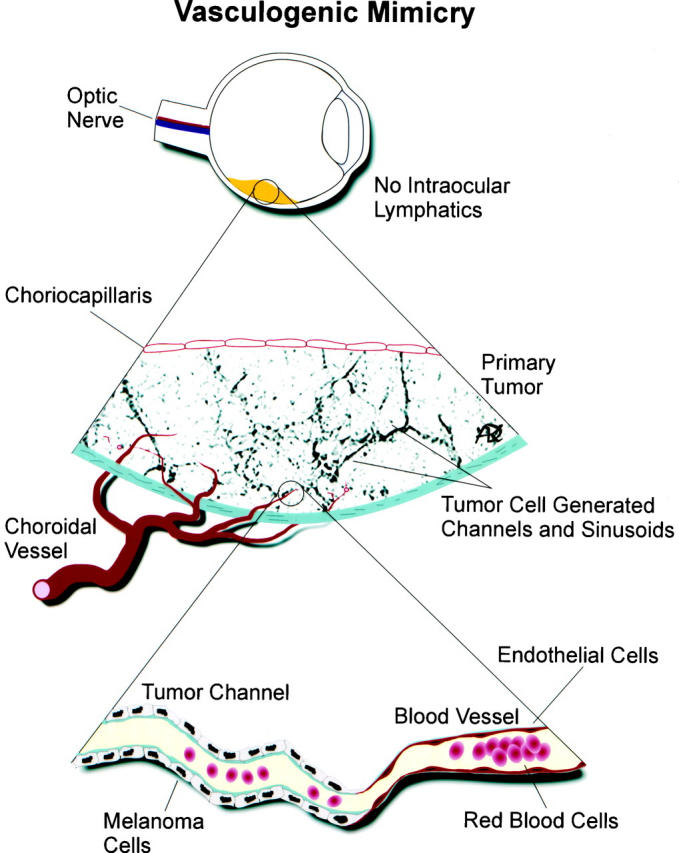 Figure 10.