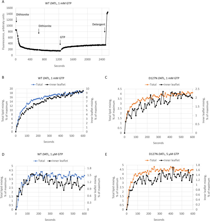 FIGURE 2: