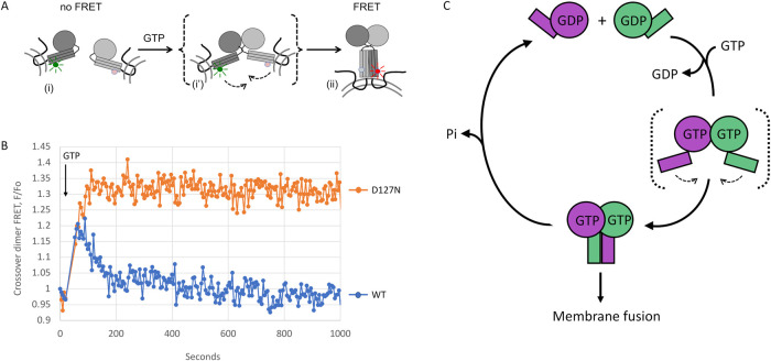 FIGURE 4: