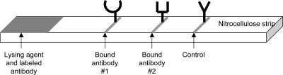 FIG. 1.