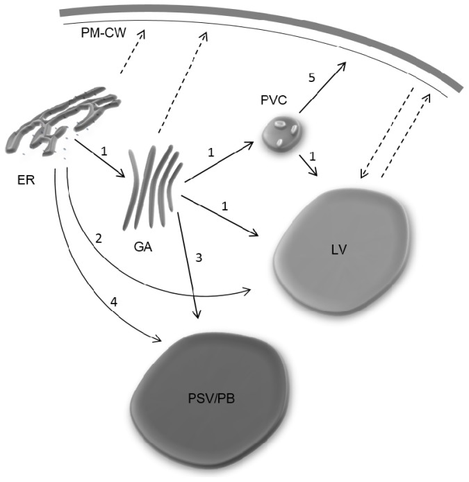 Figure 1.