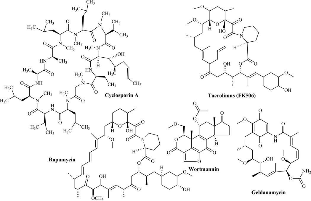 Fig. (19)