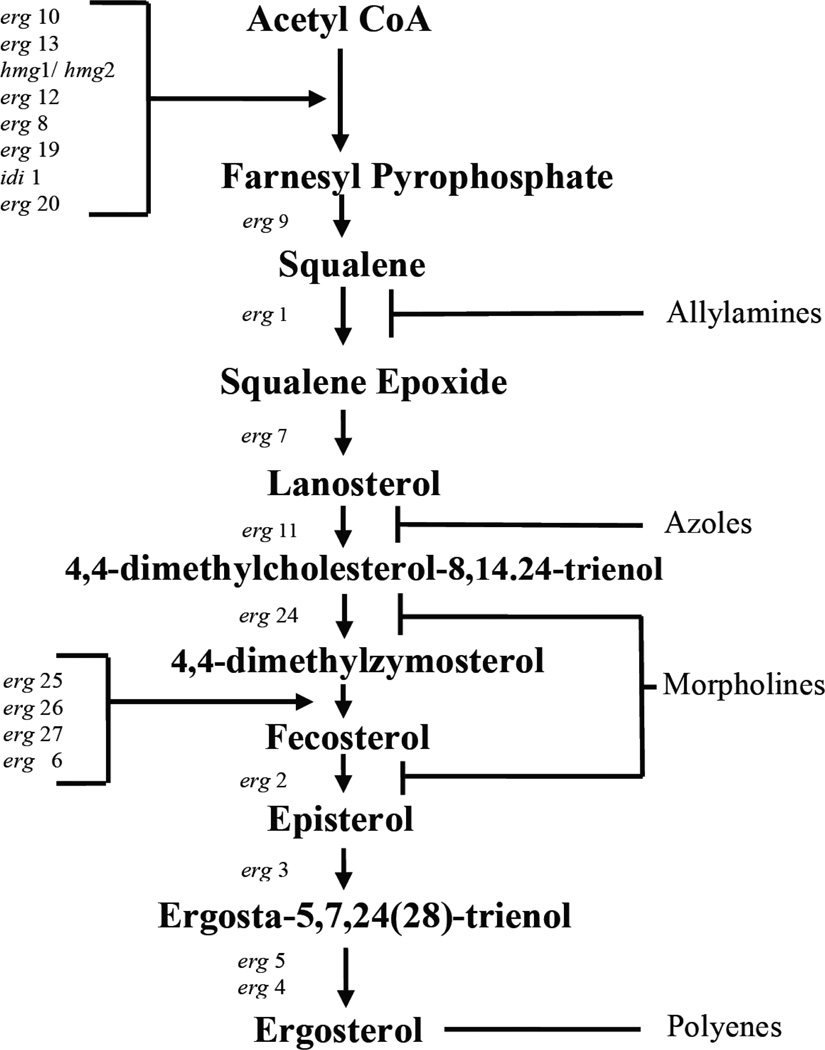 Fig. (3)