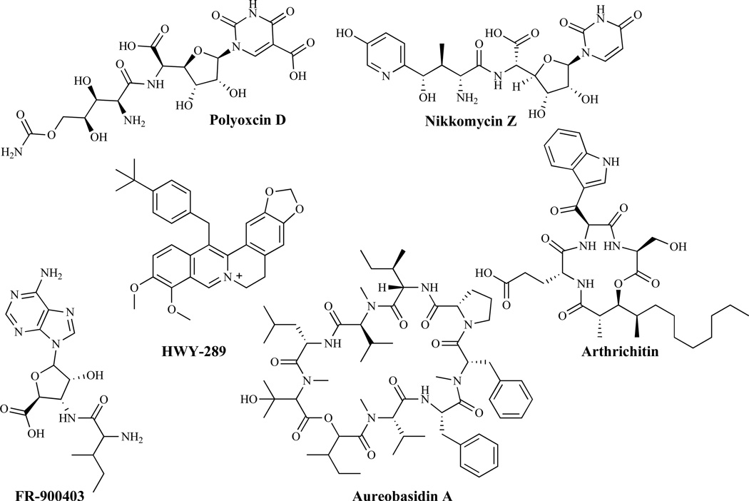 Fig. (9)