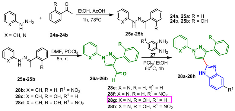 Scheme 8