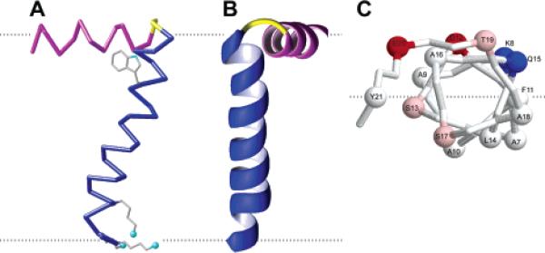 Figure 14