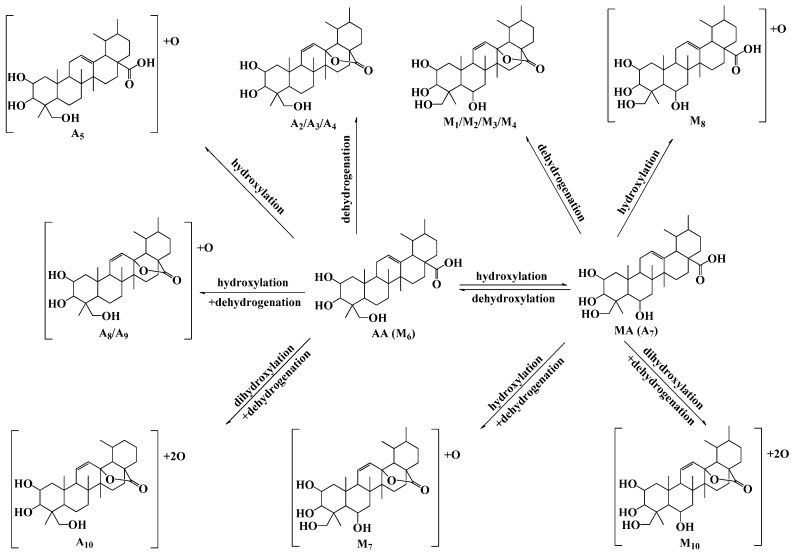 Figure 6