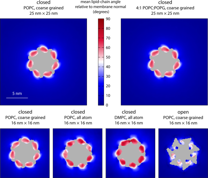 Figure 5—figure supplement 1.