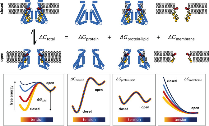 Figure 10.