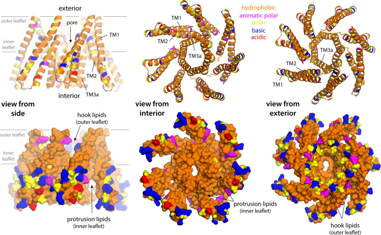 Figure 4—figure supplement 1.