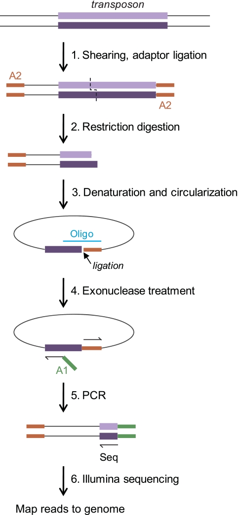 FIG 1 