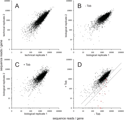 FIG 2 