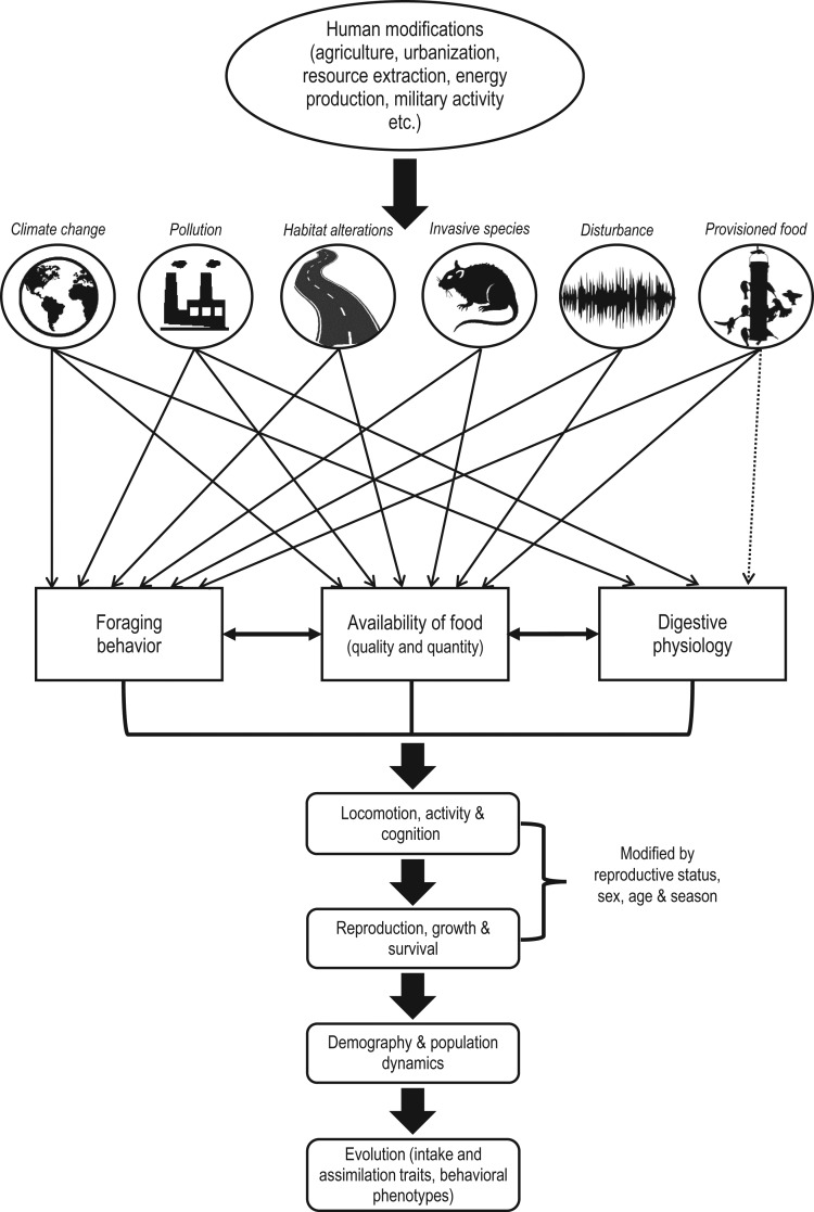 Figure 1: