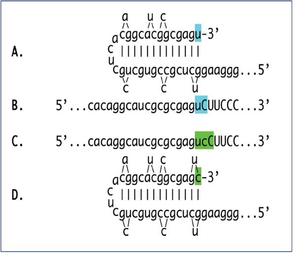 Figure 6: