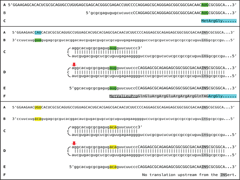 Figure 7: