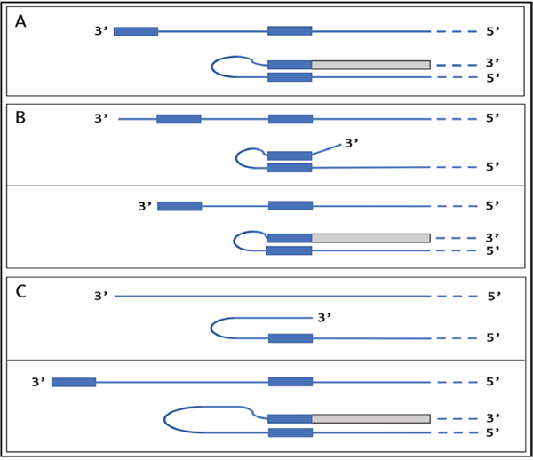 Figure 5: