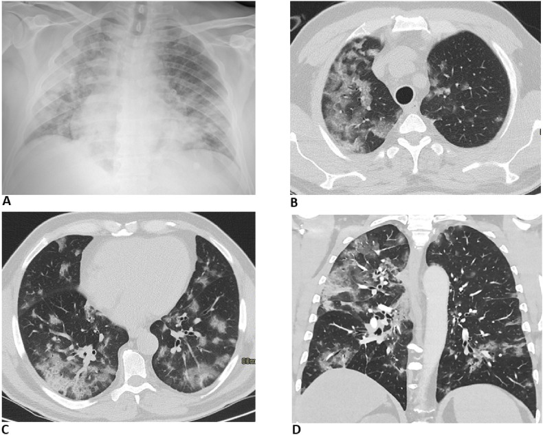 Fig. 5