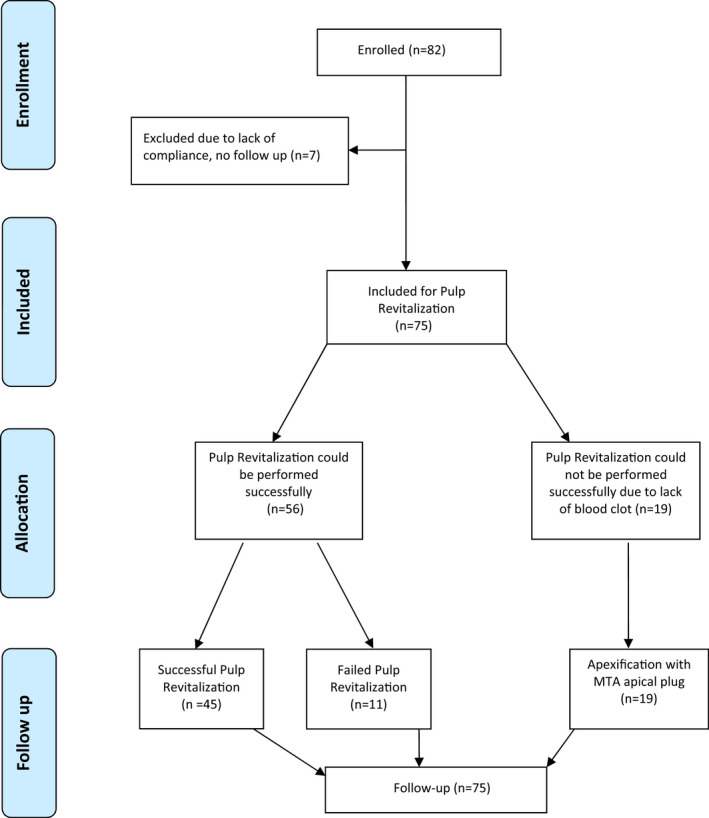 FIGURE 1