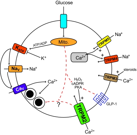 FIG. 1.